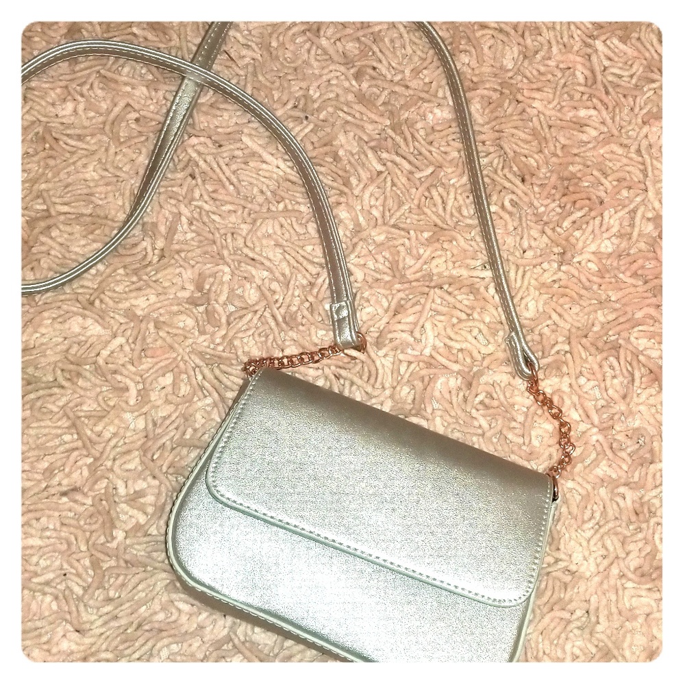 Silver with Rose Gold Accents Crossbody Purse